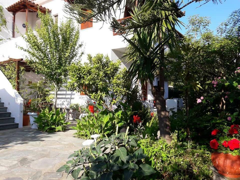 Katikies Stamatias Studios&Maisonettes Agnontas Exterior foto