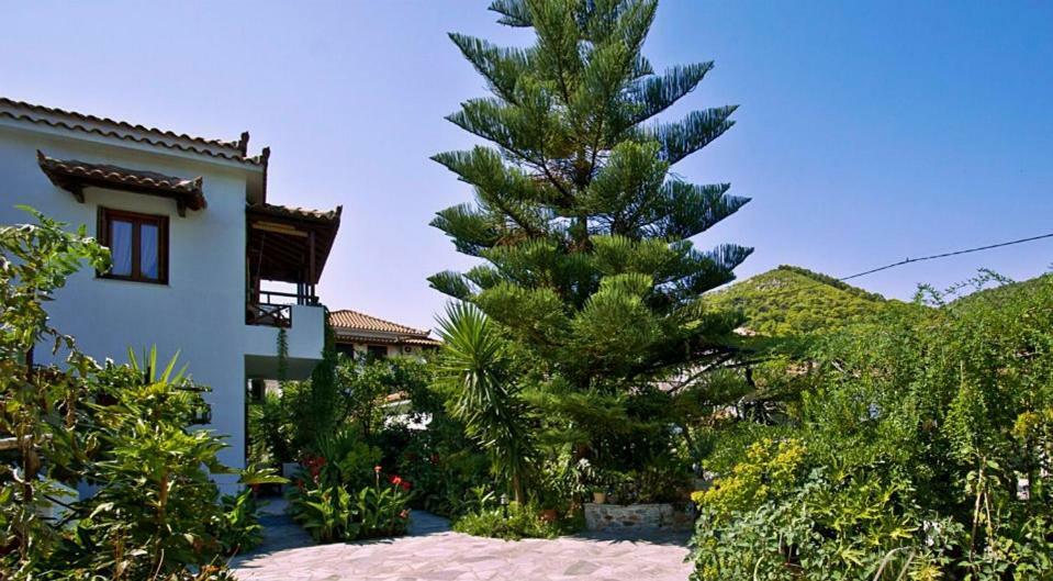 Katikies Stamatias Studios&Maisonettes Agnontas Exterior foto